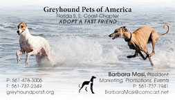 Greyhound Pets of America
