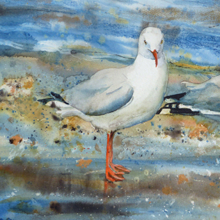 Sea Gull Paintings